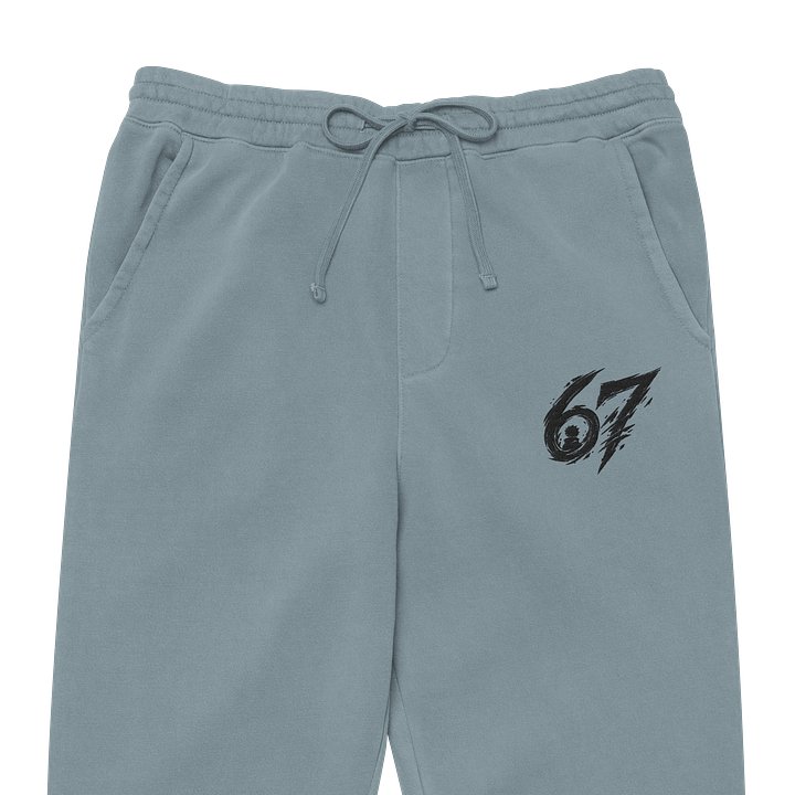 67 Pigment Dyed Joggers product image (2)