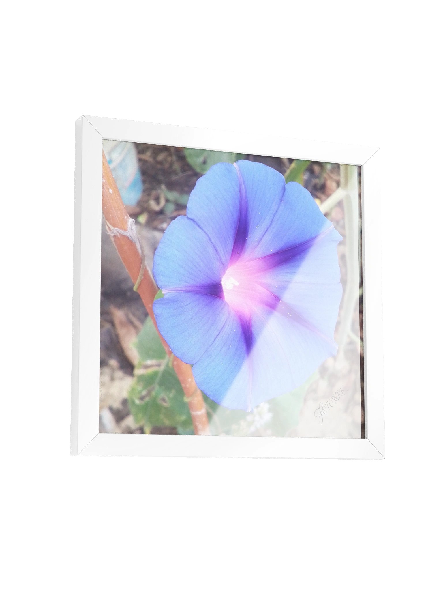 Glorya - Square Matte Poster product image (3)