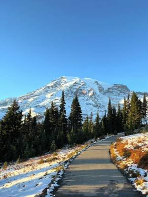 parks collection out now aspenglow-shop.fourthwall.com #nature #fyp #outdoors #mountrainier #nationalpark 