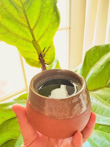 #WhatIEatInADay

I used to think coffee just wasn’t for me.

Every cup left me anxious and jittery.

Turns out—it wasn’t coff...