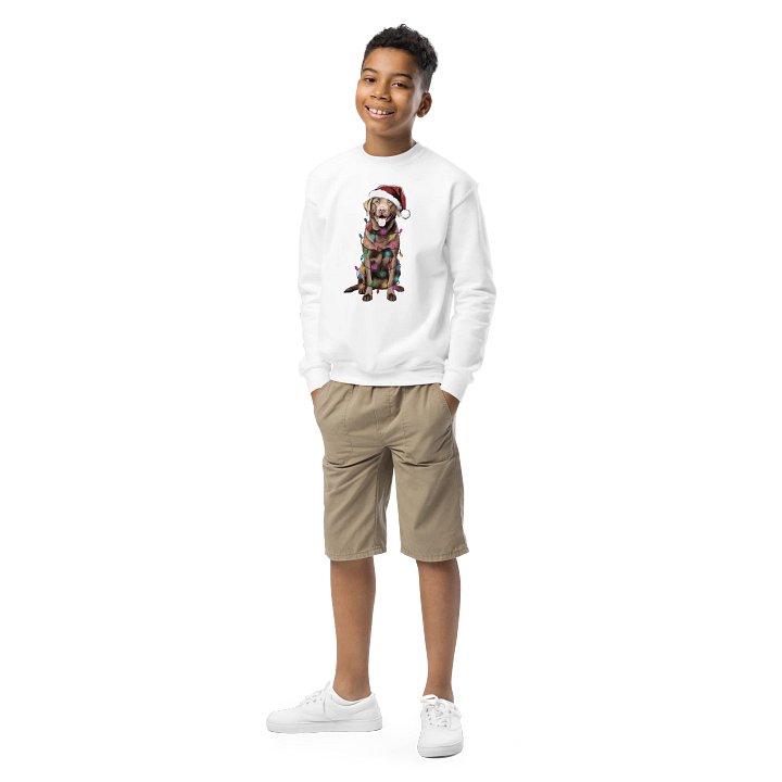 Funny Christmas Labrador Retriever(Chocolate) Youth Sweatshirt product image (1)