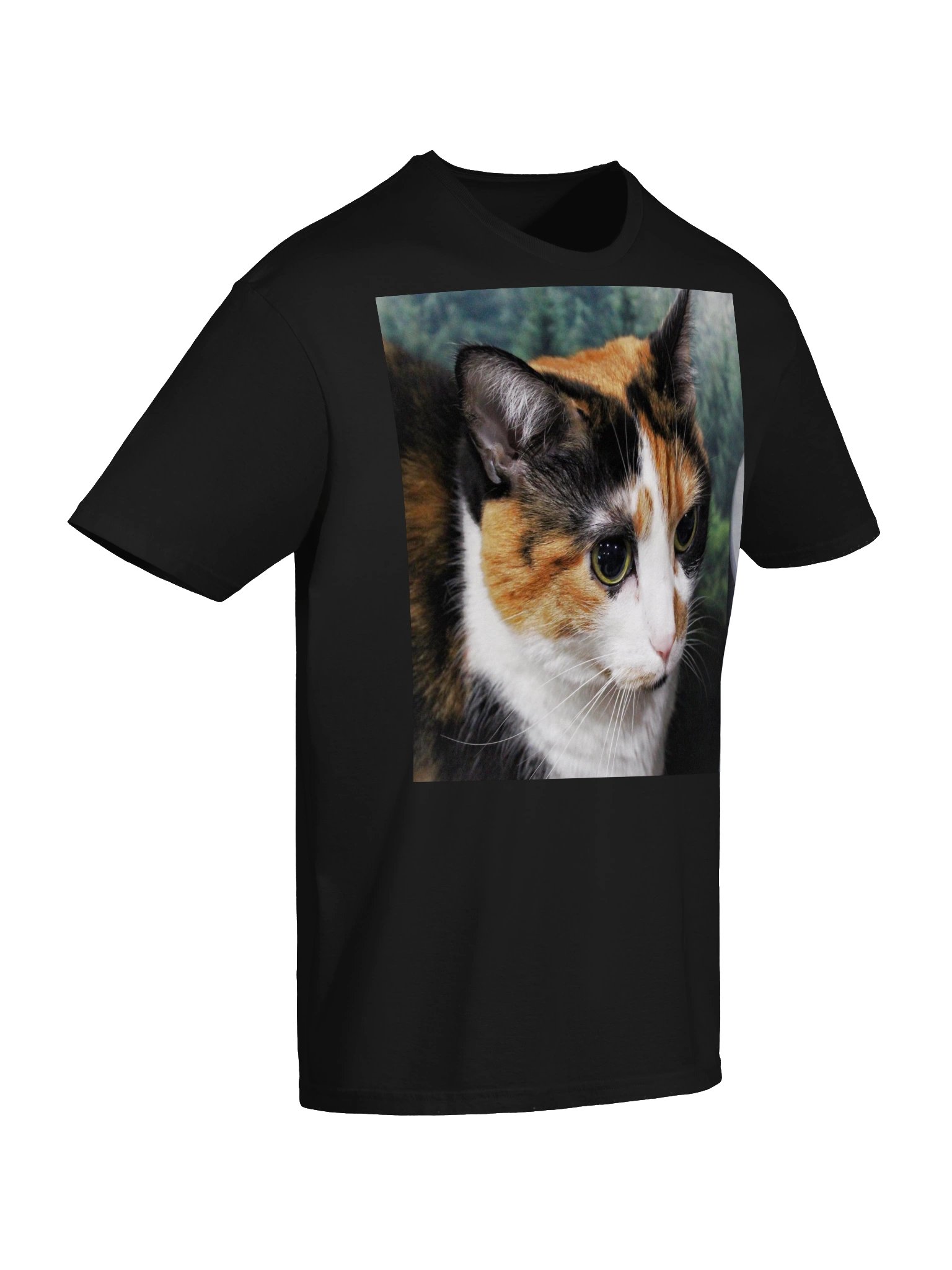 Captain Noodle Shirt product image (6)