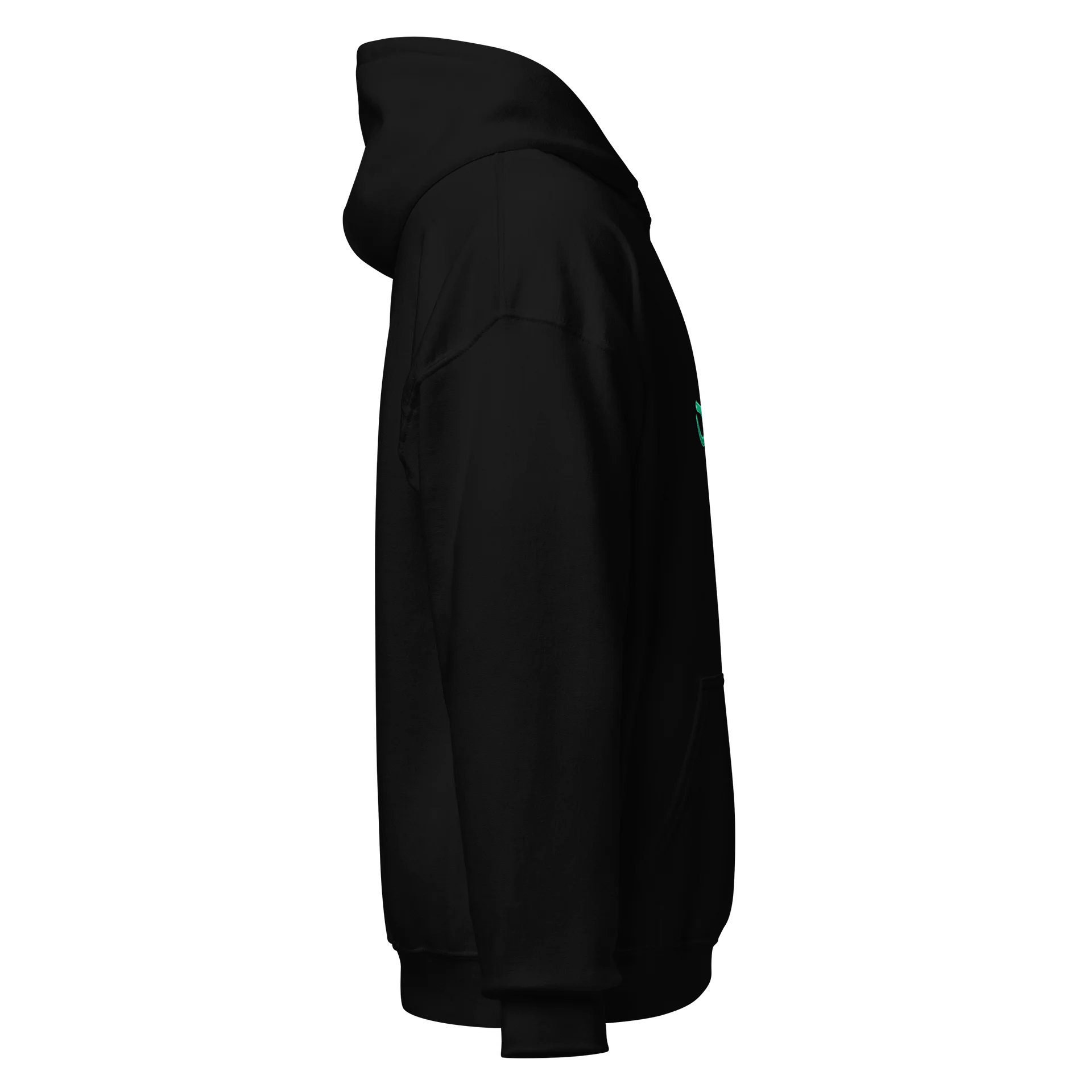 904 Hoodie product image (4)