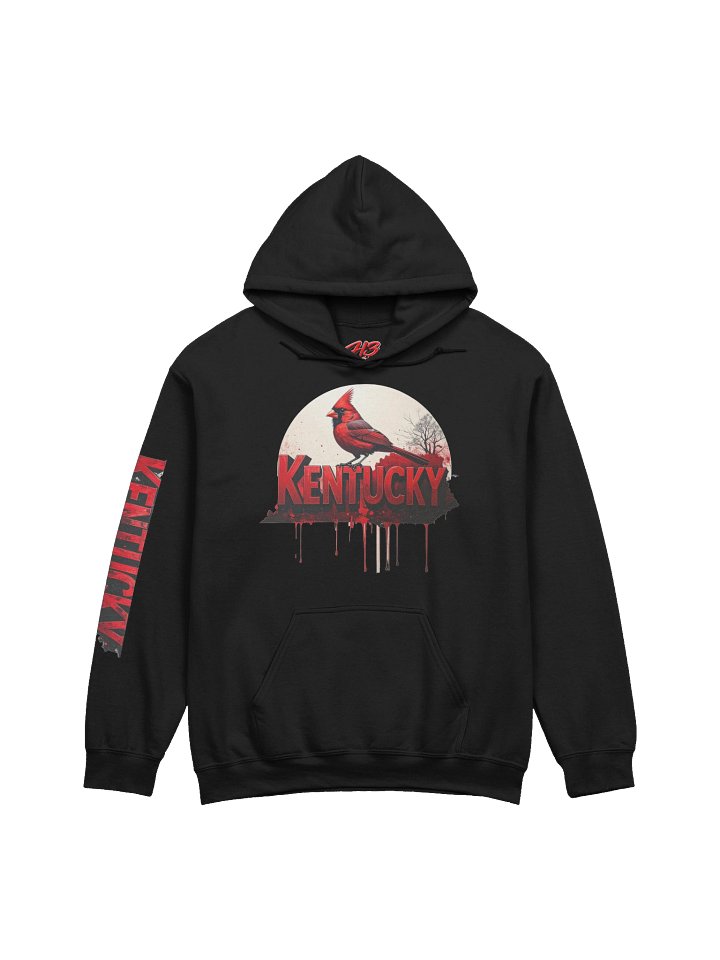 kentucky card hoodie product image (2)