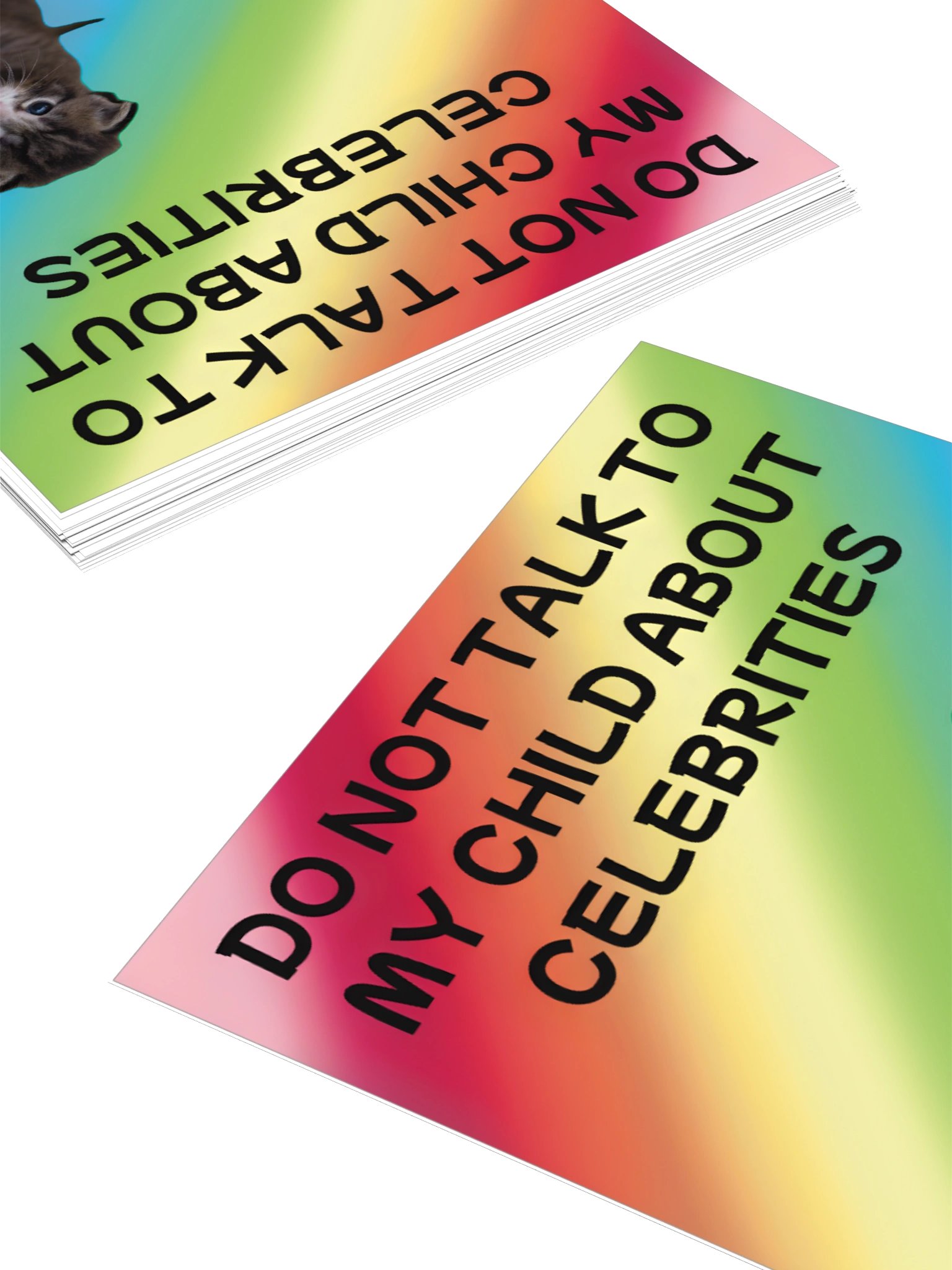 Do Not Talk to My Child About Celebrities Cat Sticker product image (10)