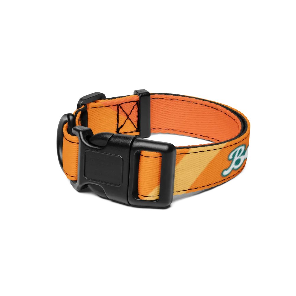 Besties Pet Collar product image (1)