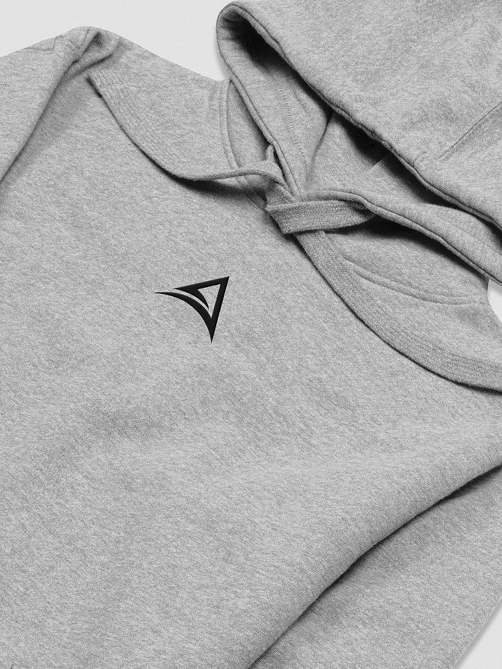 ASCENDANCY Premium Hoodie // Embroided Logo Black product image (18)