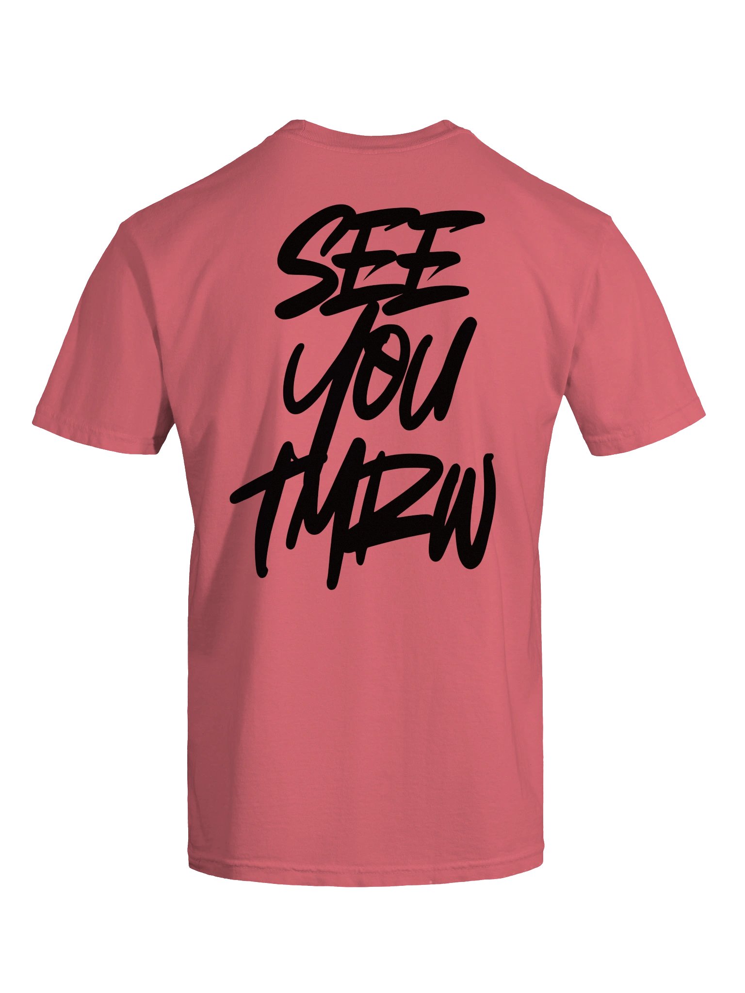 SYT2 tee (black) product image (62)