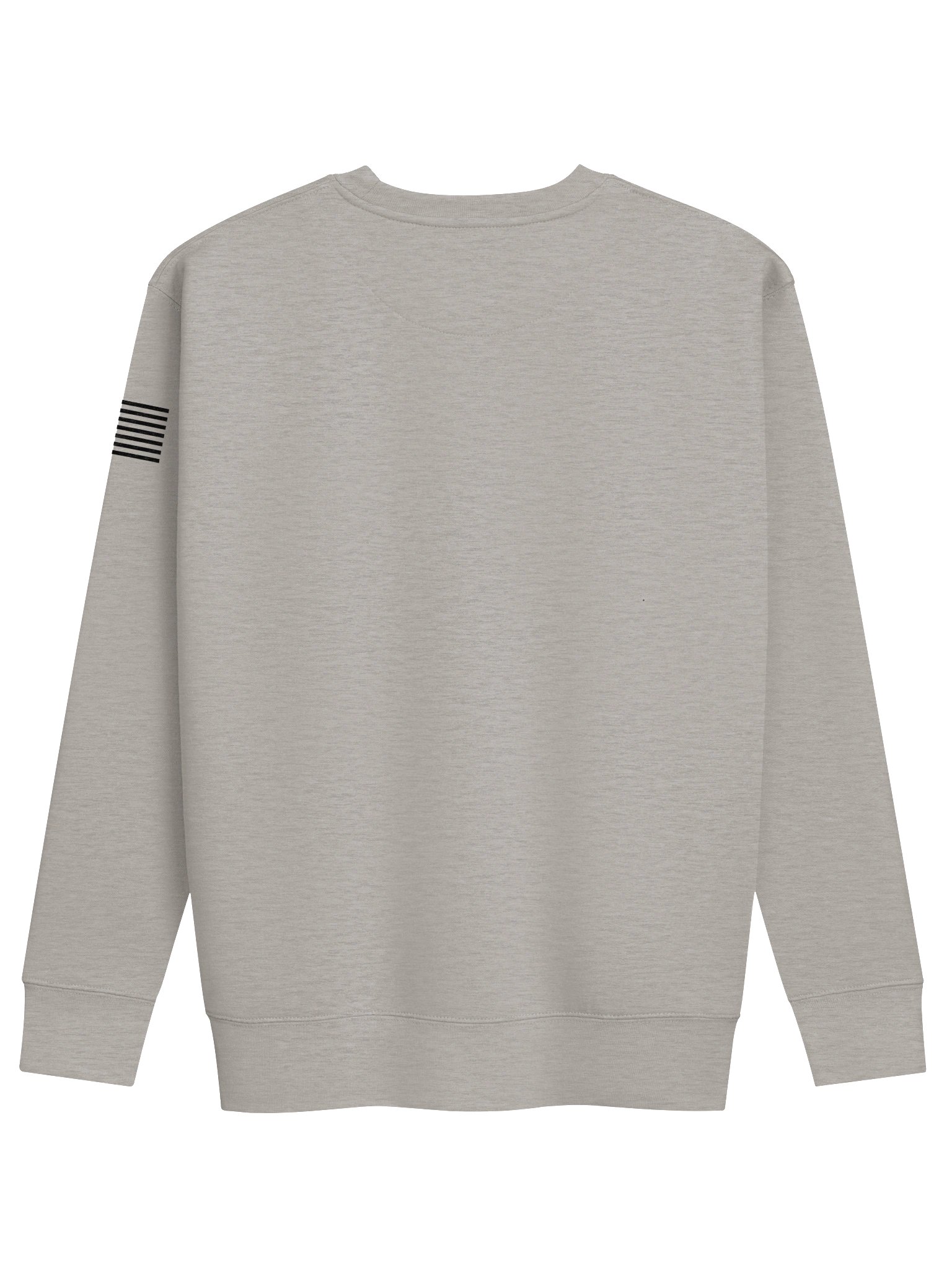 WTF AMERICA CREW SWEATSHIRT product image (2)