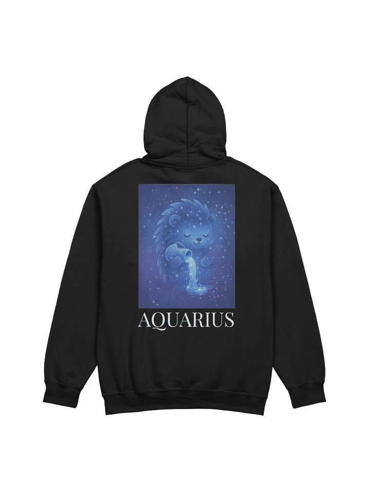 Zodiac hedgie Aquarius hoodie product image (18)