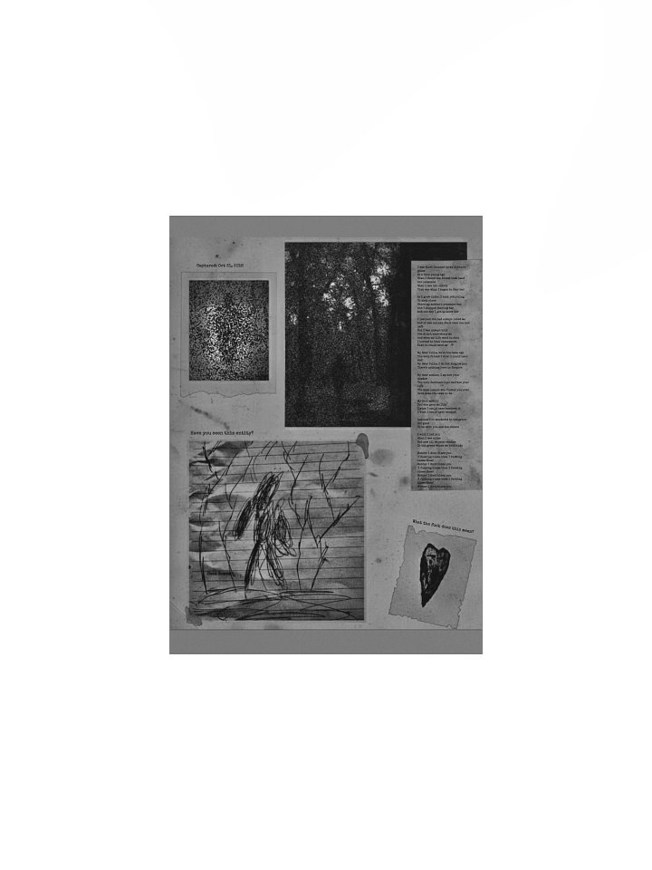 The Shadow's Poem poster product image (6)