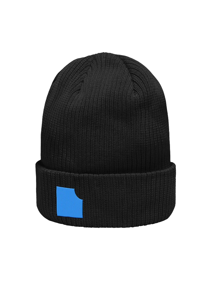 TASTY CHIPS ORGANIC BEANIE product image (9)
