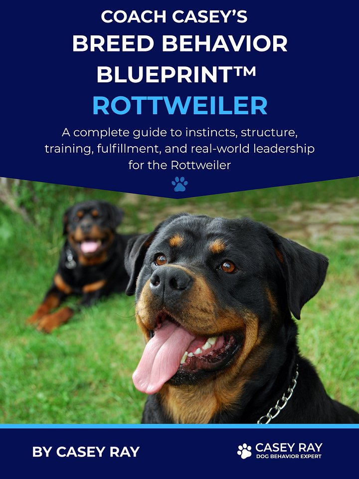 Coach Casey’s Breed Behavior Blueprint™ - Rottweiler product image (1)
