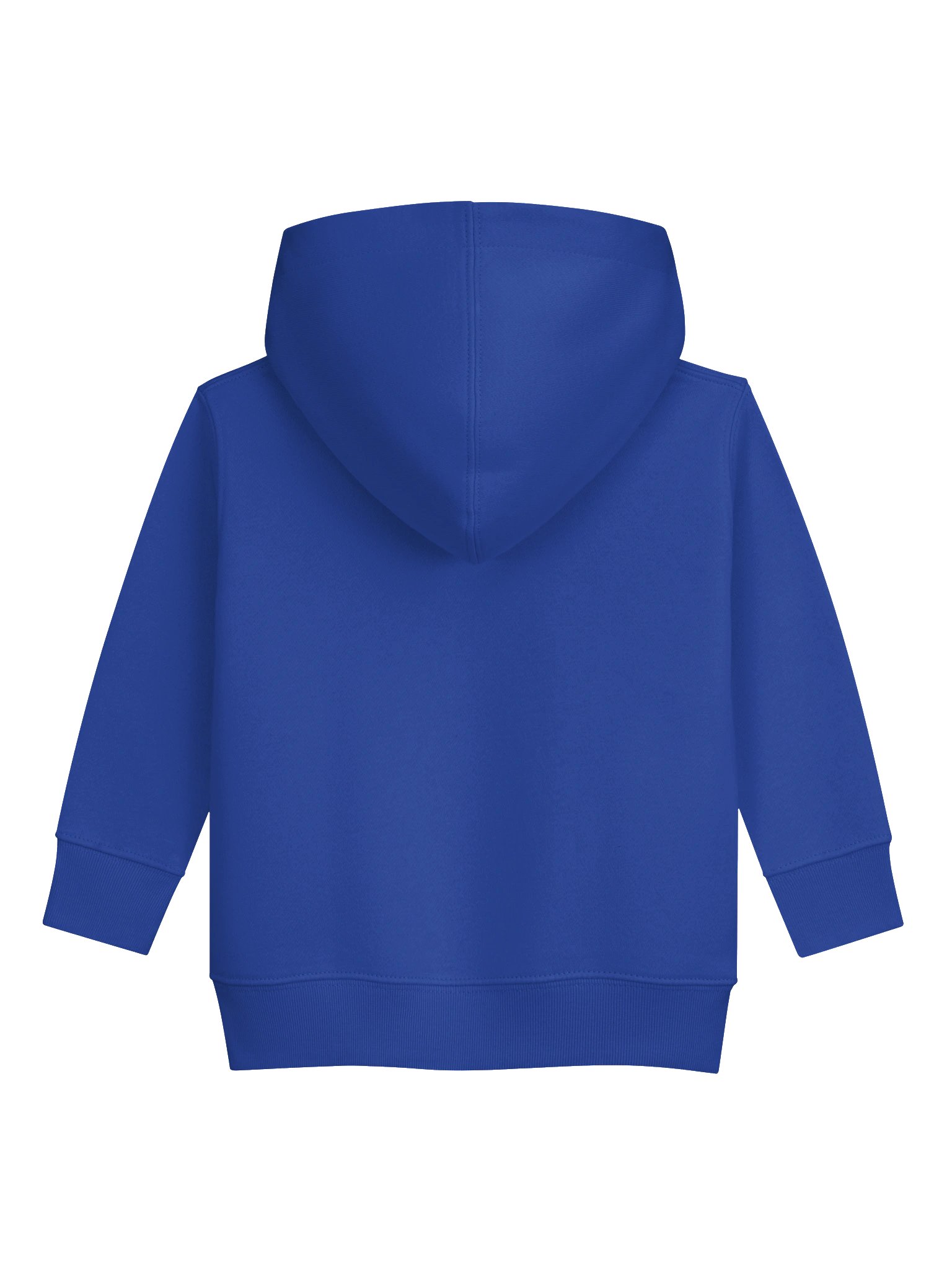 Too Cute to Tame! Toddler Dragon Hoodie product image (16)
