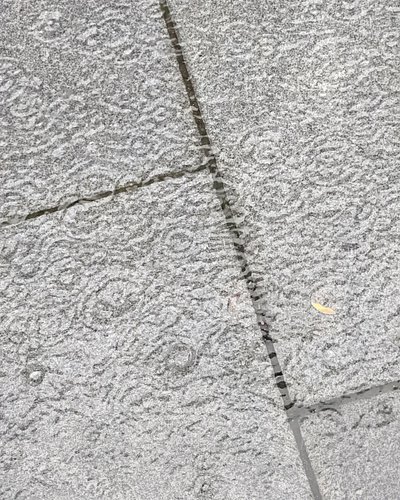 #googlepixel6series #googlepixelphotography #googlepixel6pro #googlepixel #pixel6pro #pixel6prophotography #photography #rain...