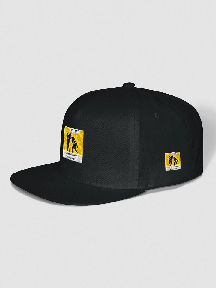 The OK Show Snapback product image (9)