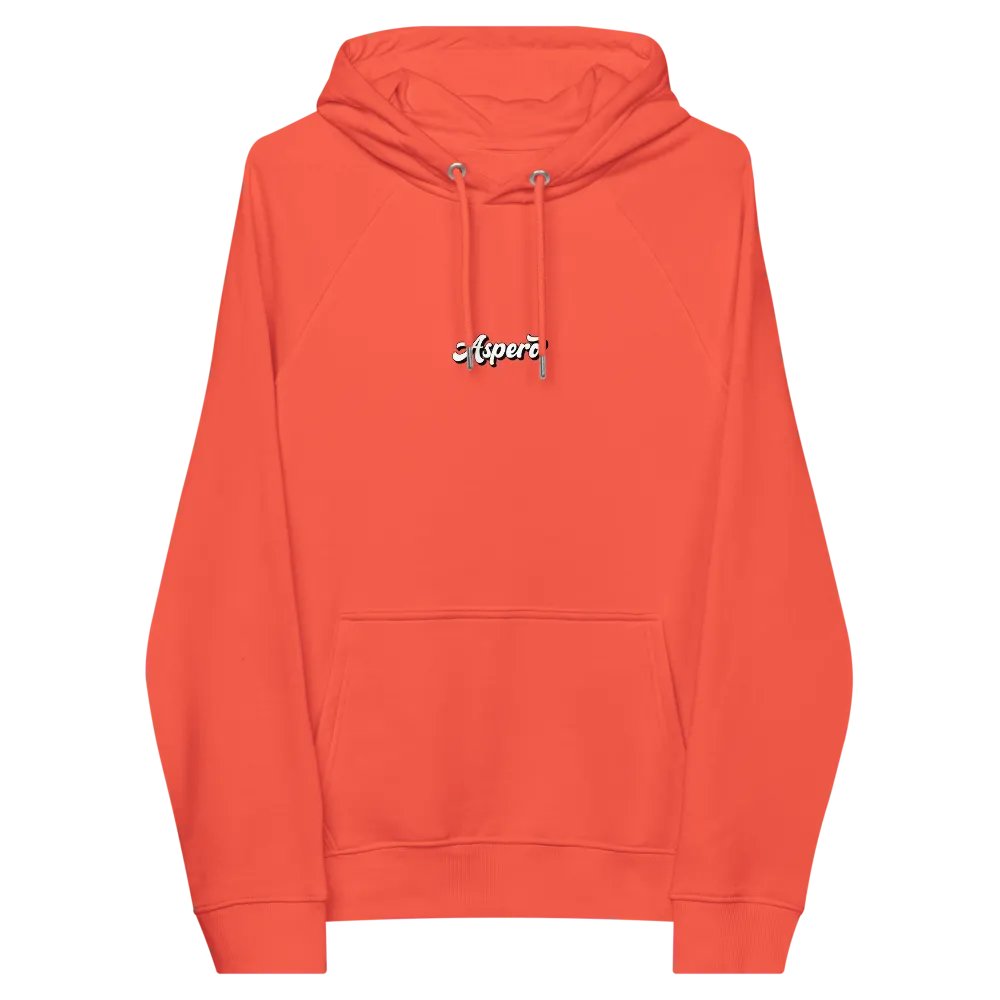 Aspero Bogotá SOL'S Unisex Eco Raglan Hoodie product image (99)
