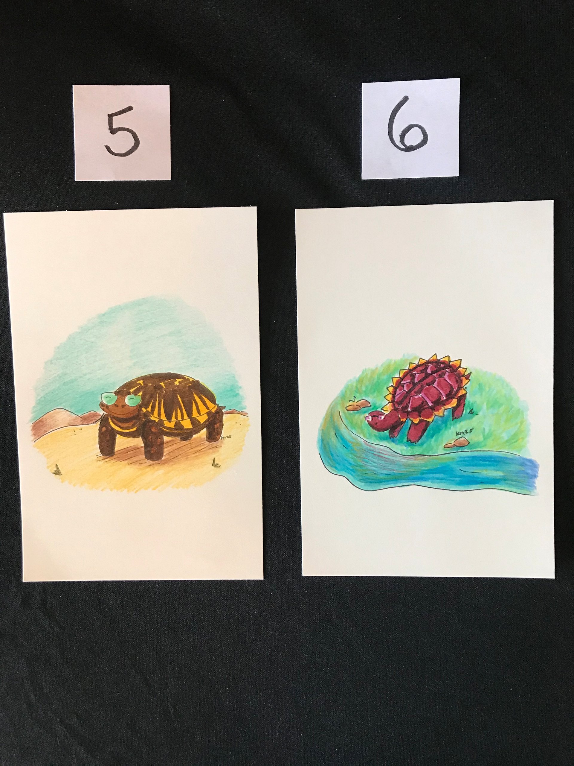 Turtles with Glasses Original Marker Illustrations product image (4)