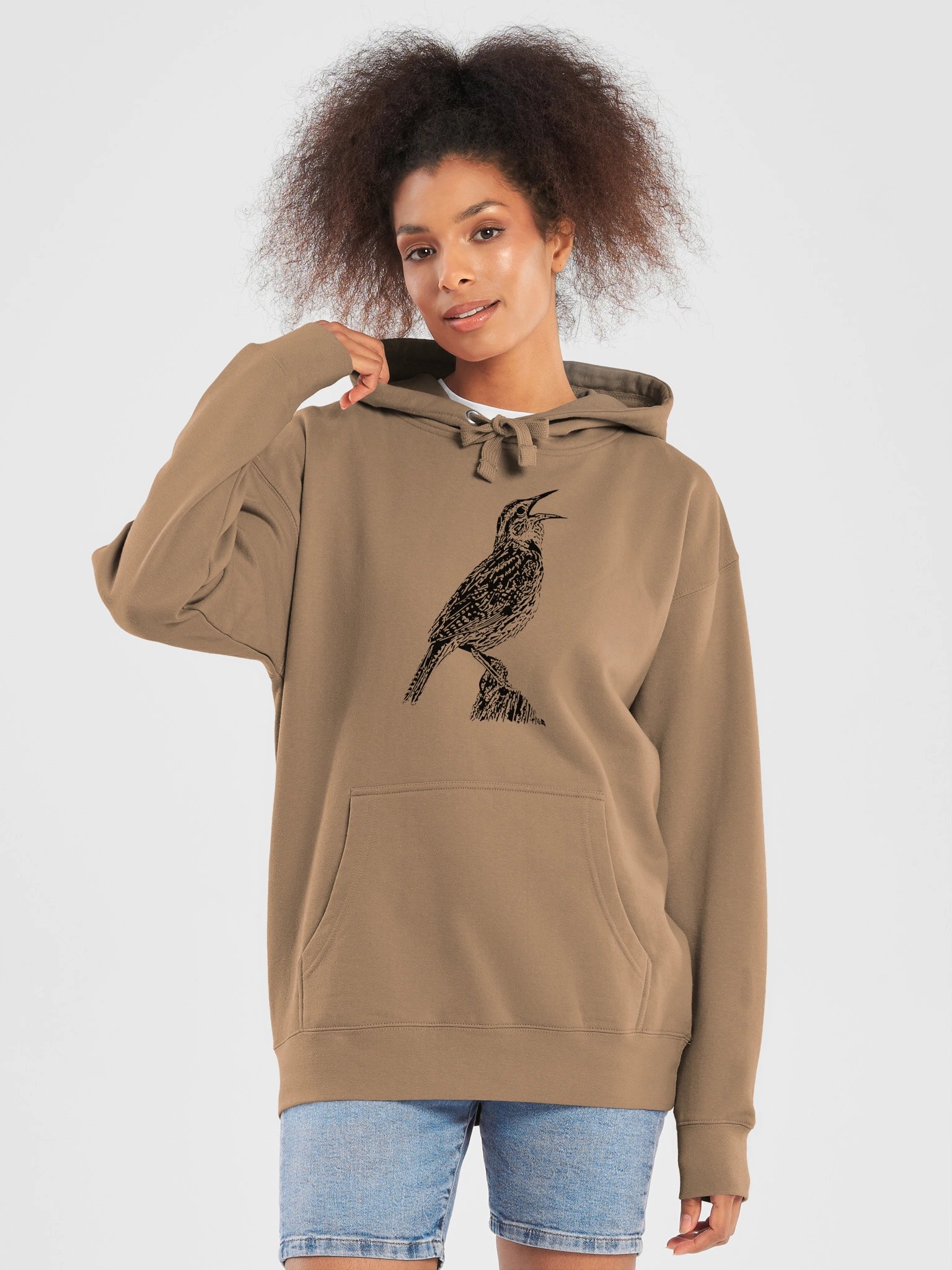 Western Meadowlark Premium Hooded Sweatshirt product image (38)