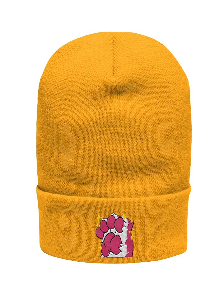 Steenky Beans Beanie product image (2)