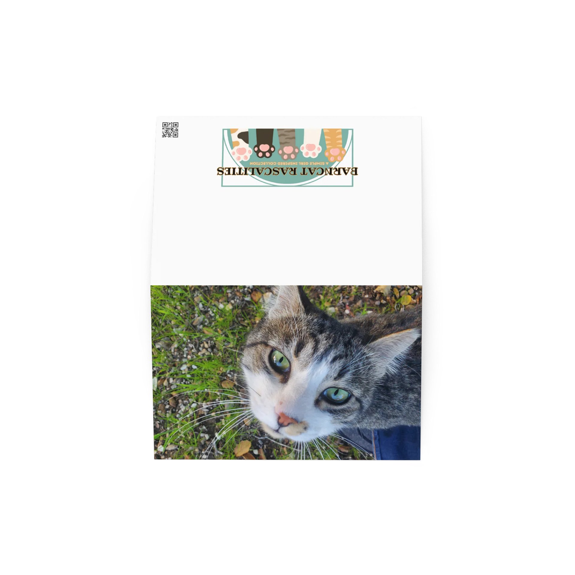 Banjo Says HELLO! product image (2)