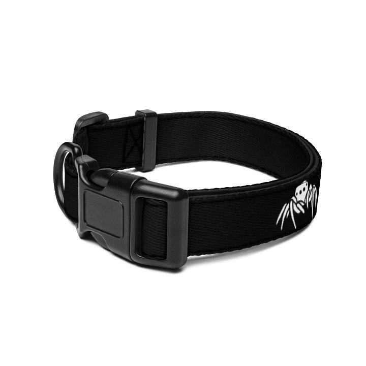 "My other dog is a jumping spider" dog collar product image (2)