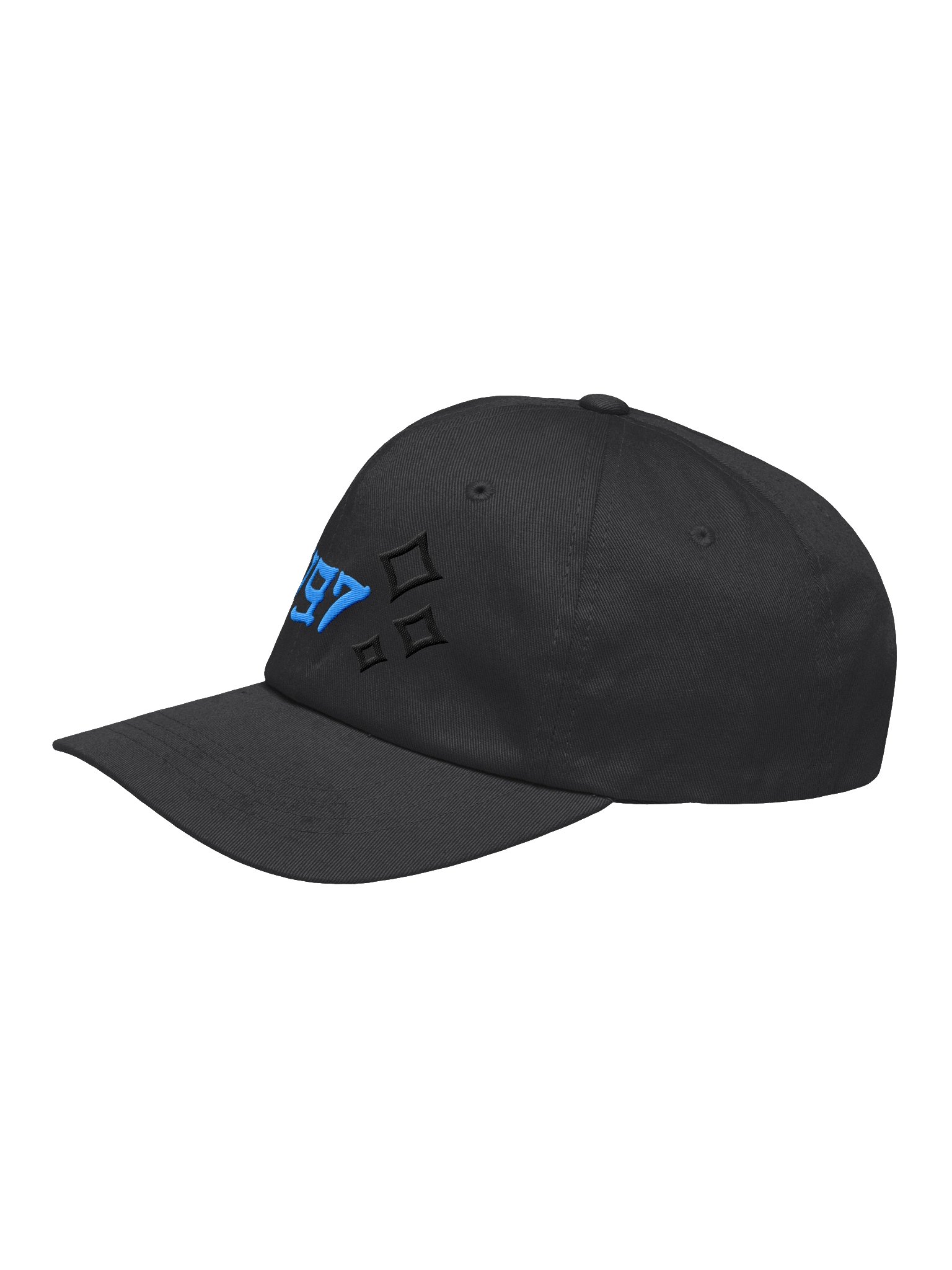 #197 Embroidered Hat product image (9)