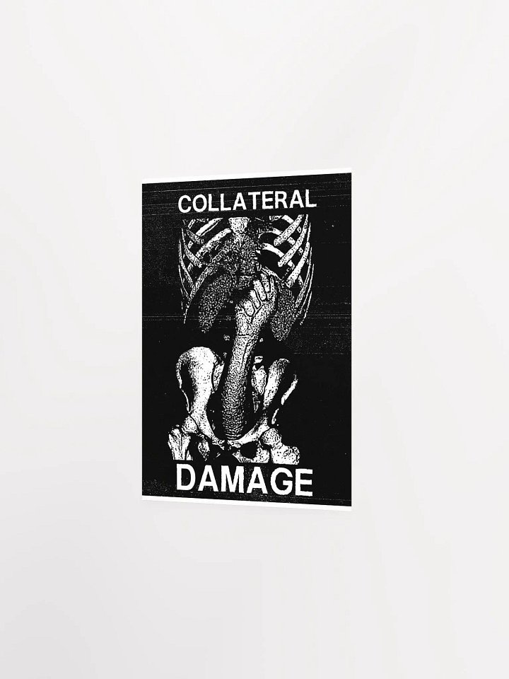 COLLATERAL DAMAGE product image (17)