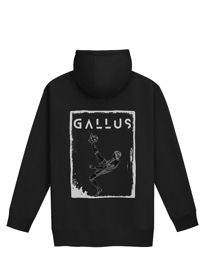 Gallus Scotland Back Print Hoodie product image (8)