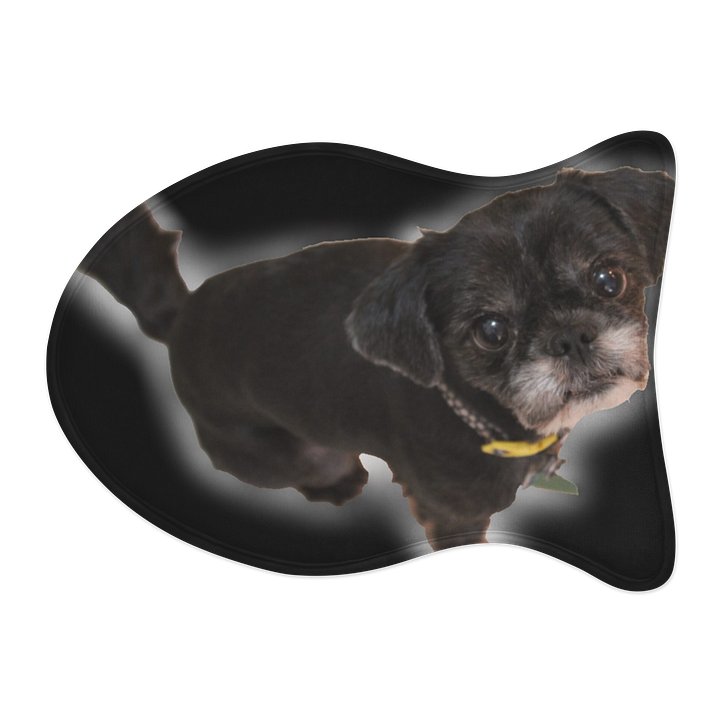 Ryder Pet Food Mat product image (2)
