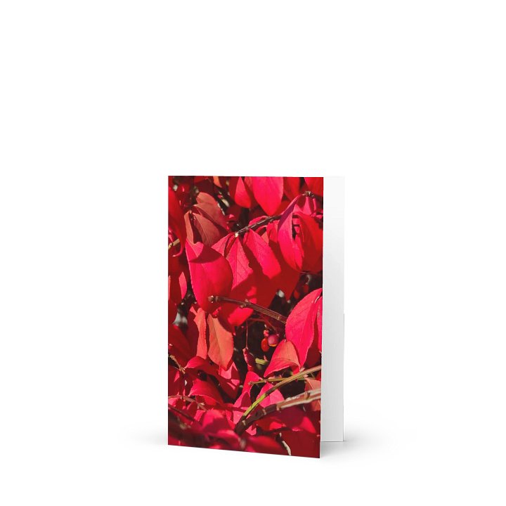 Crimson Canopy Greeting Card (blank) product image (1)