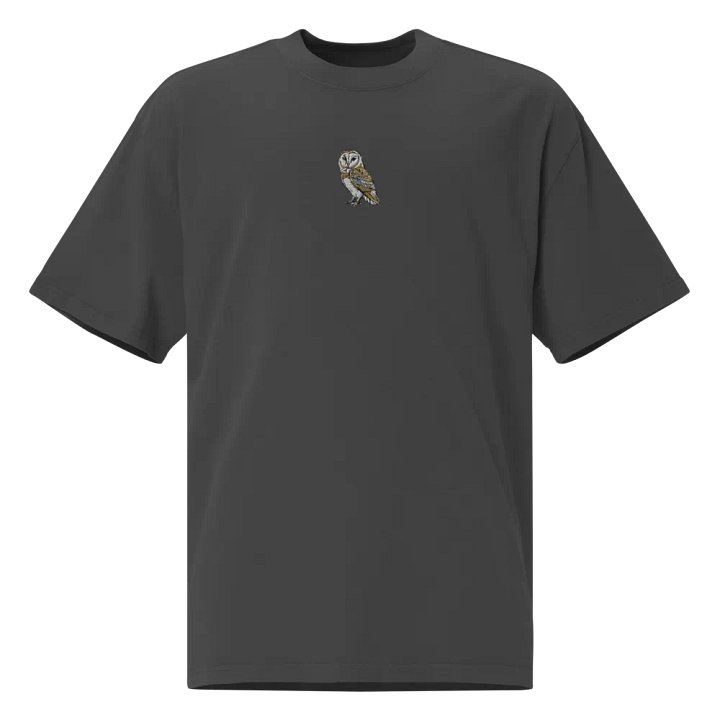 Barn Owl Dreams Embroidered Faded T-Shirt product image (1)