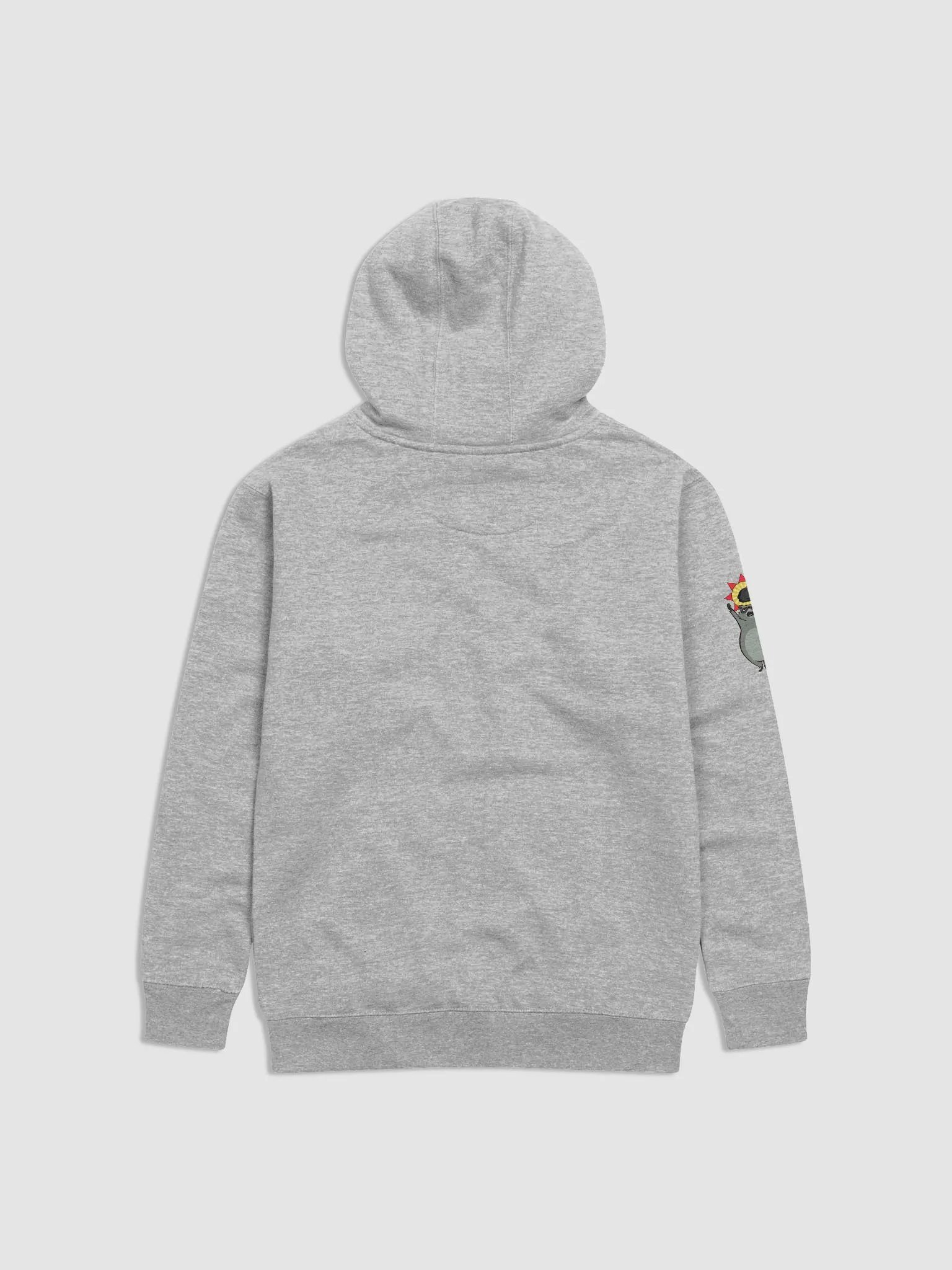 Praise the Trash Unisex Hoodie product image (12)