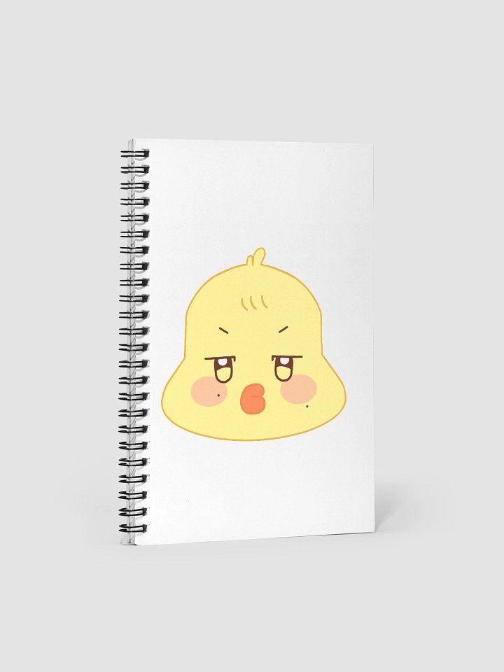 Bbyongming notebook product image (1)