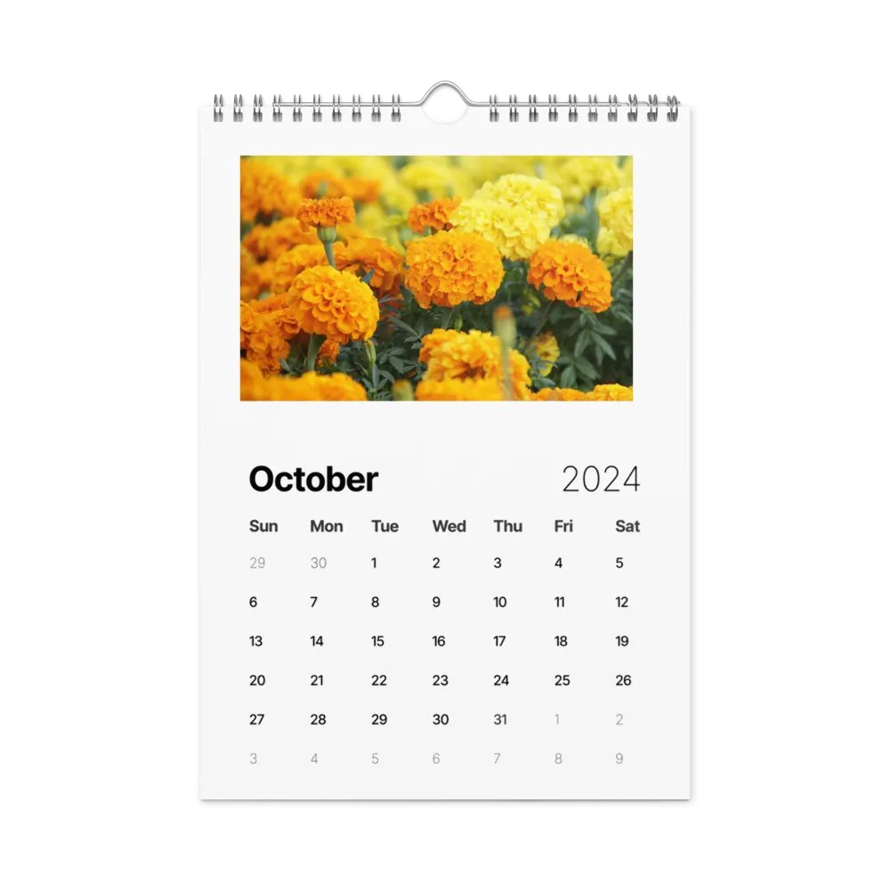 sunsmile year product image (12)