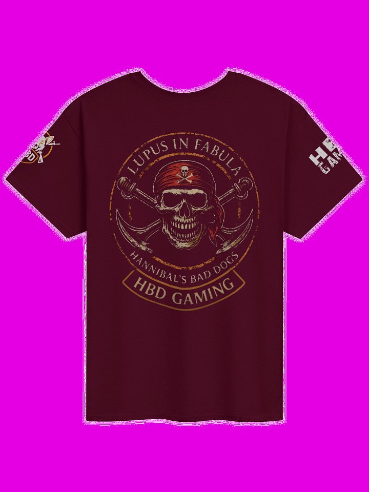 HBD Gaming T-Shirt product image (14)