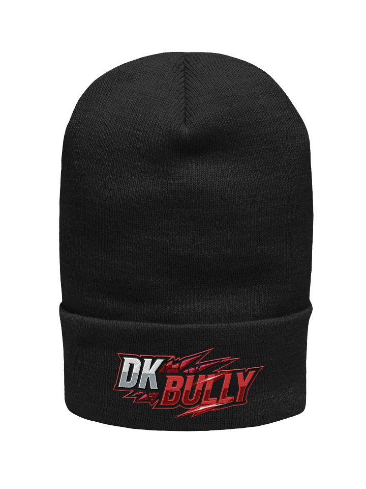 WINTER DK BULLY HAT 2.1 product image (1)