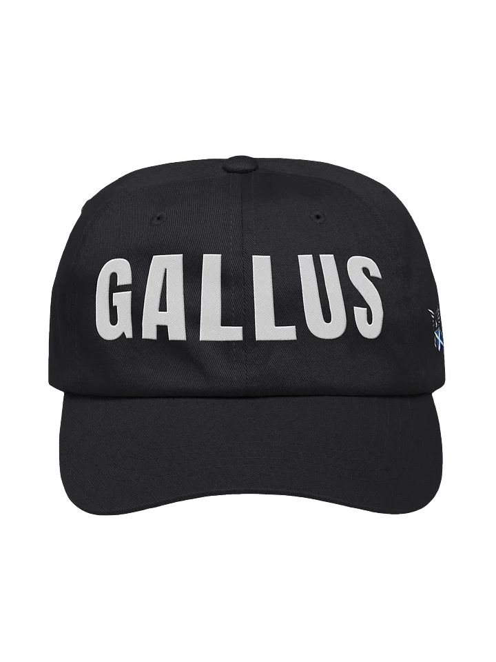 Gallus Bold product image (3)