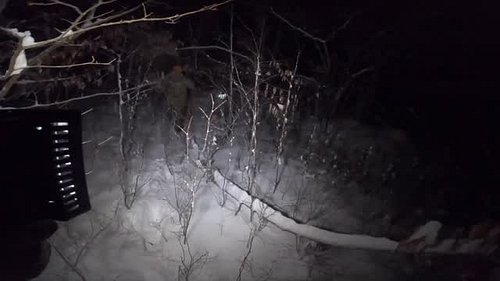 The recovery!  A little throwback on Thanksgiving since it was 3 years ago to the day that Nipsy went down.  Honestly, this h...