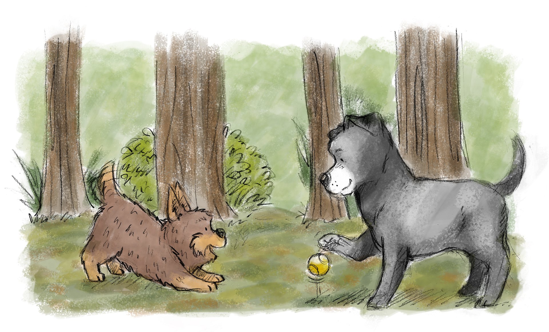 Bobby & Morph by R. E. Fisher - Exclusive edition product image (6)