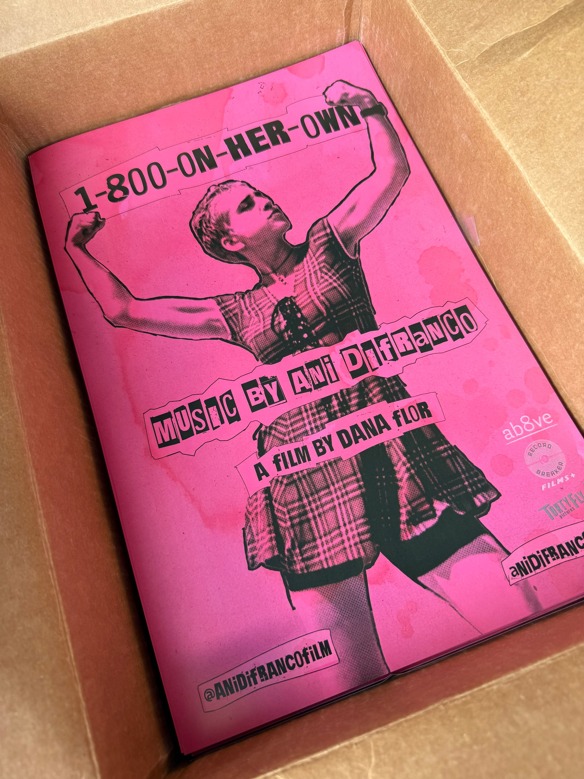 Ani DiFranco Pose Pink Film Poster!!! product image (1)