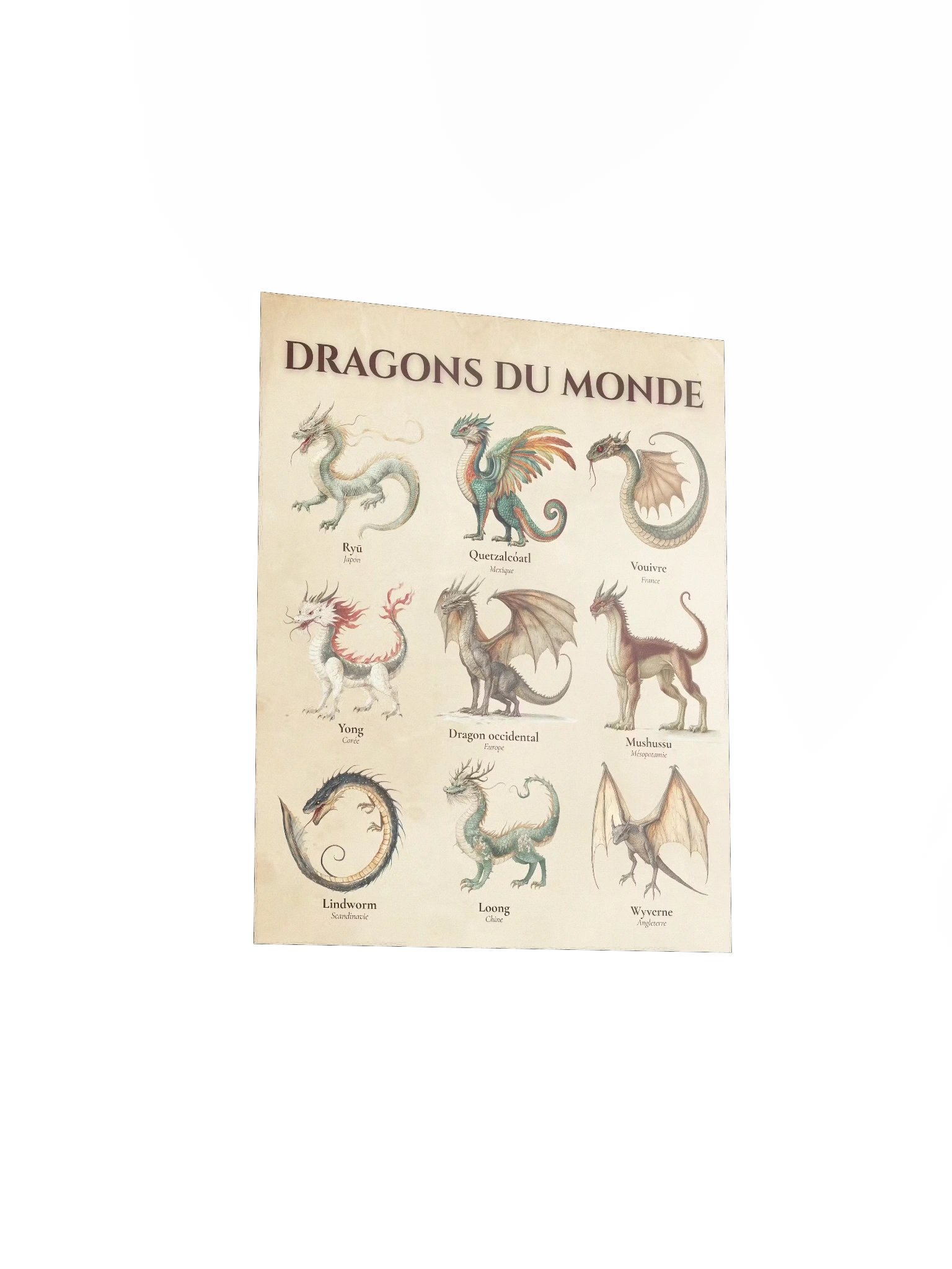 Poster Dragons du Monde product image (5)