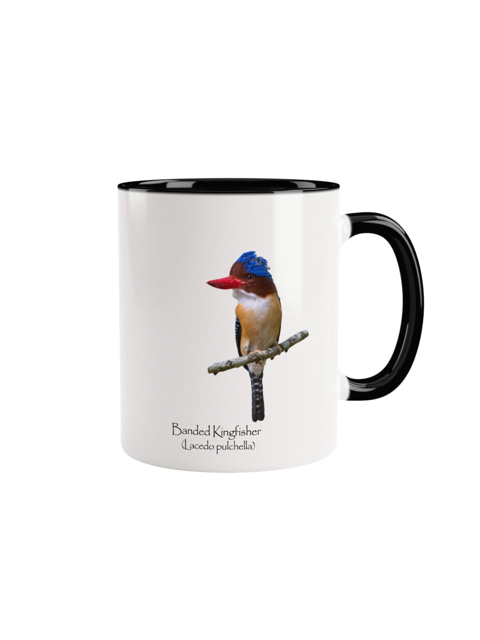 Banded Kingfisher mug product image (1)