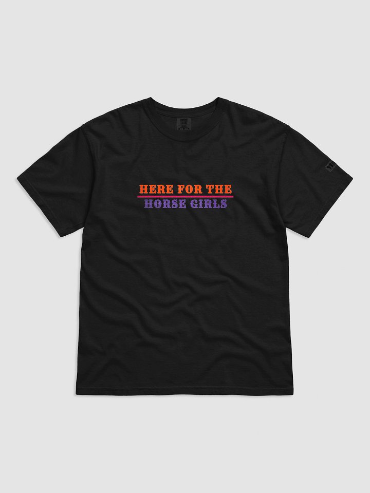 Here for The Horse Girls Embroidered Tee product image (1)