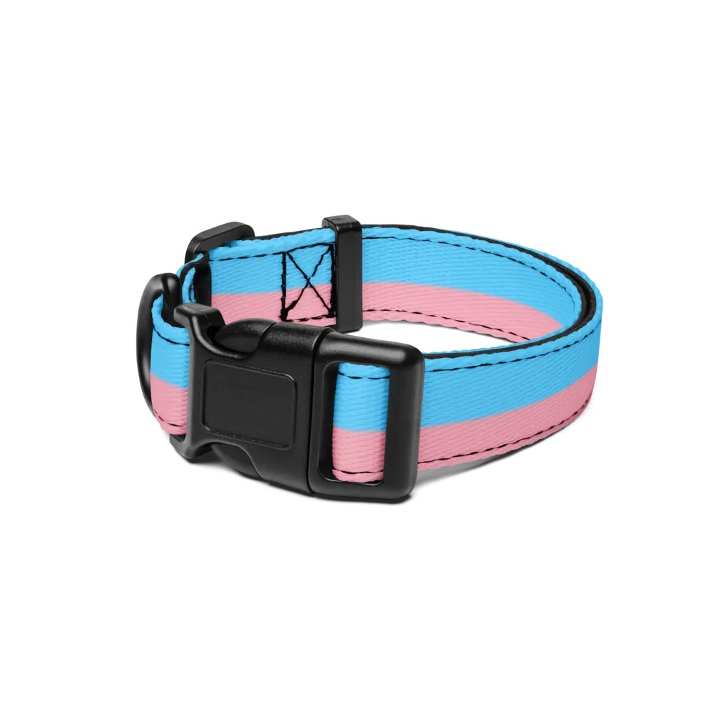 Trans Pride Pup Collar product image (1)