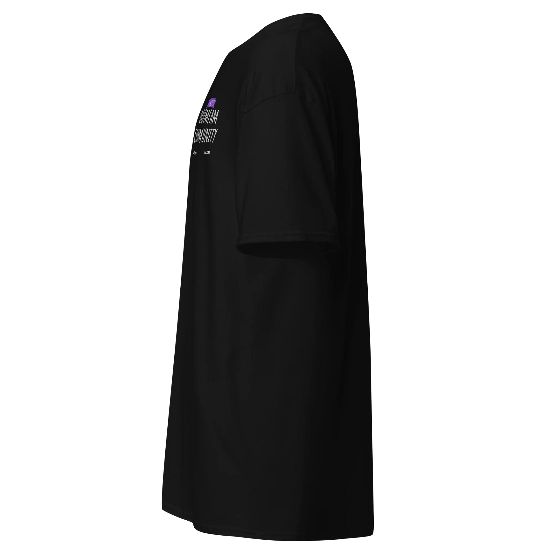 DF Stitched Tee product image (9)