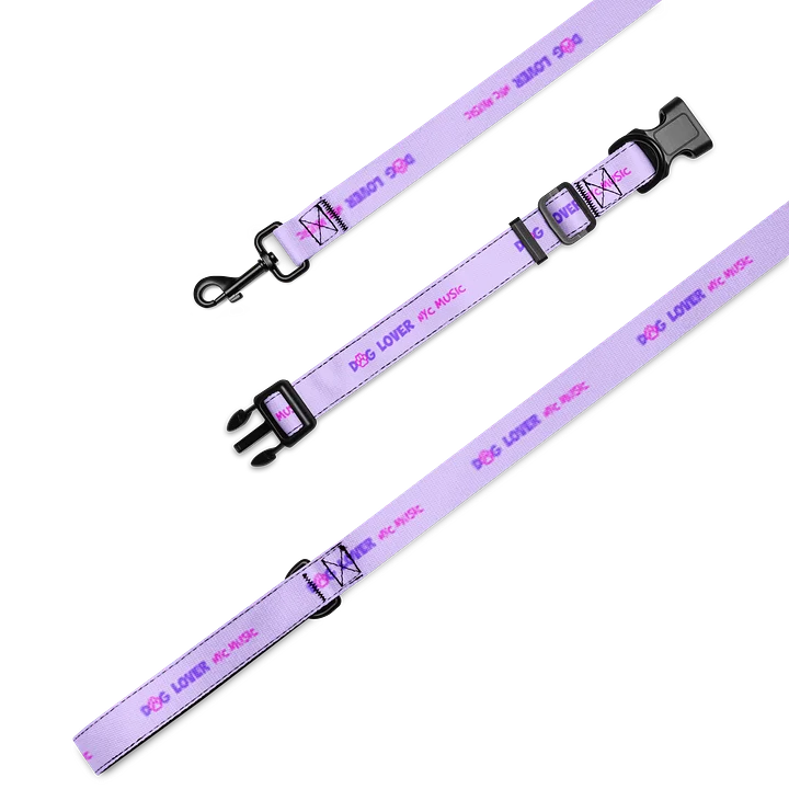 DogLoverNYCMusic Collar and Leash Set product image (1)