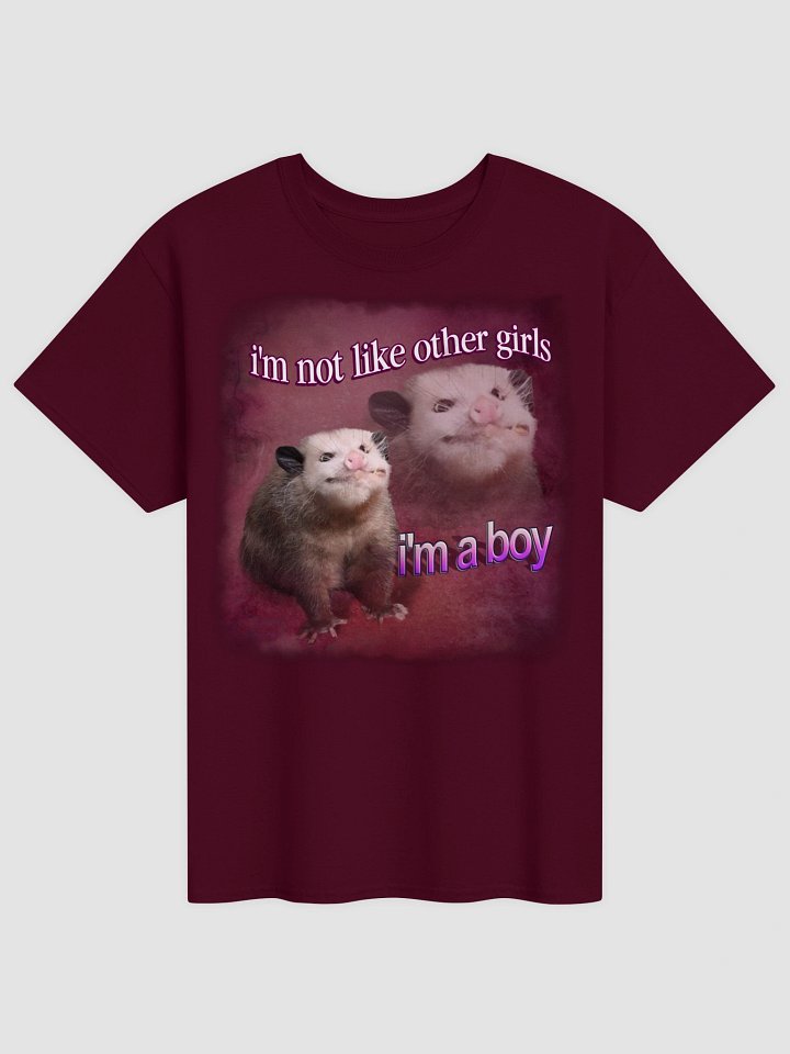 I'm not like other girls, I'm a boy possum T-shirt product image (9)