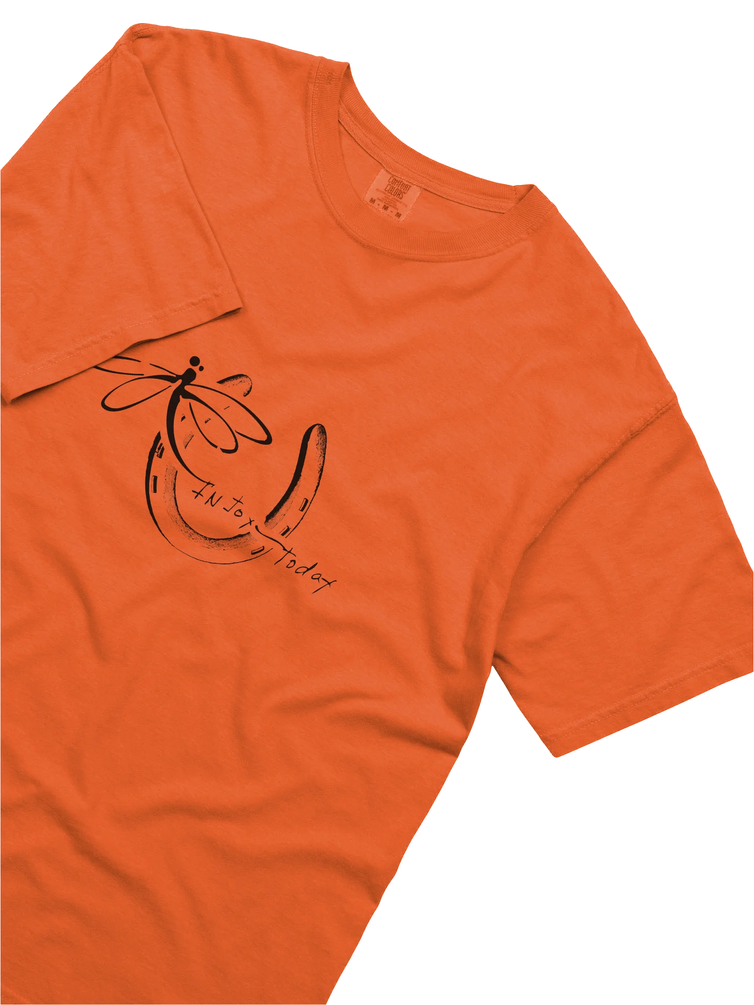 InJoy Today Daily Joy T‑Shirt| Premium Heavyweight Cotton T‑Shirt (Relaxed Unisex Fit) product image (3)