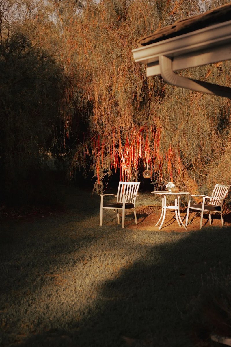 Two chairs and a small table beneath a leafy garden tree